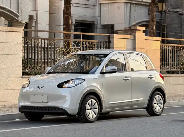 WULING WULING BINGGUO