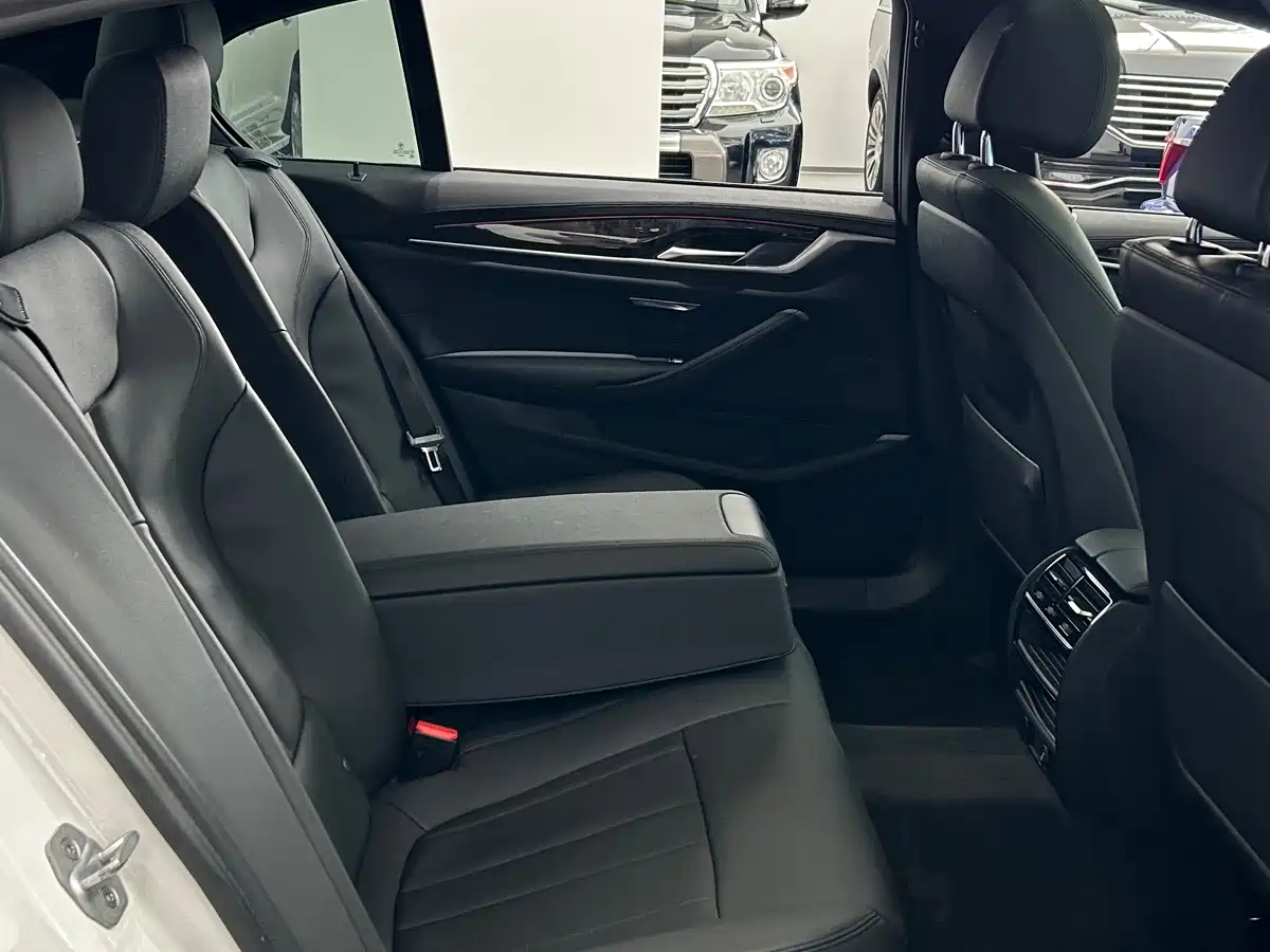 BMW 5 Series 2018 525Li Luxury Package фото 12