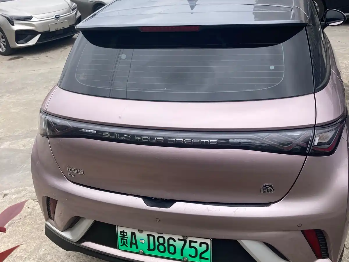 BYD Dolphin 2023 401km Knight Edition фото 5
