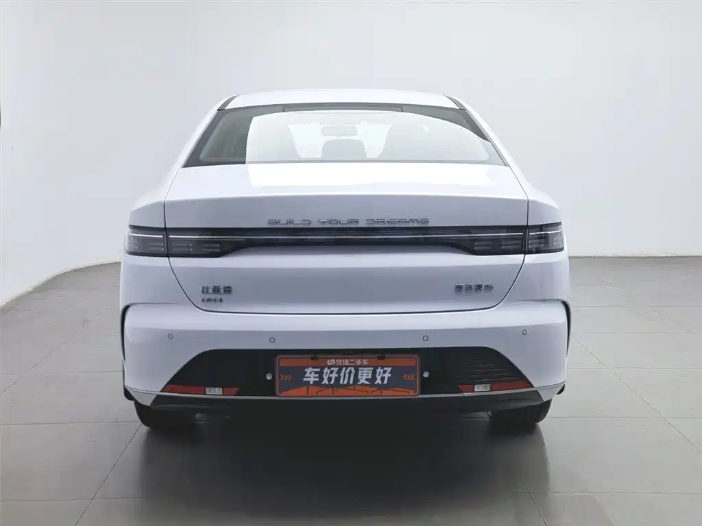 BYD Destroyer 05 2024 Glory Edition DM-i 55KM Luxury фото 4