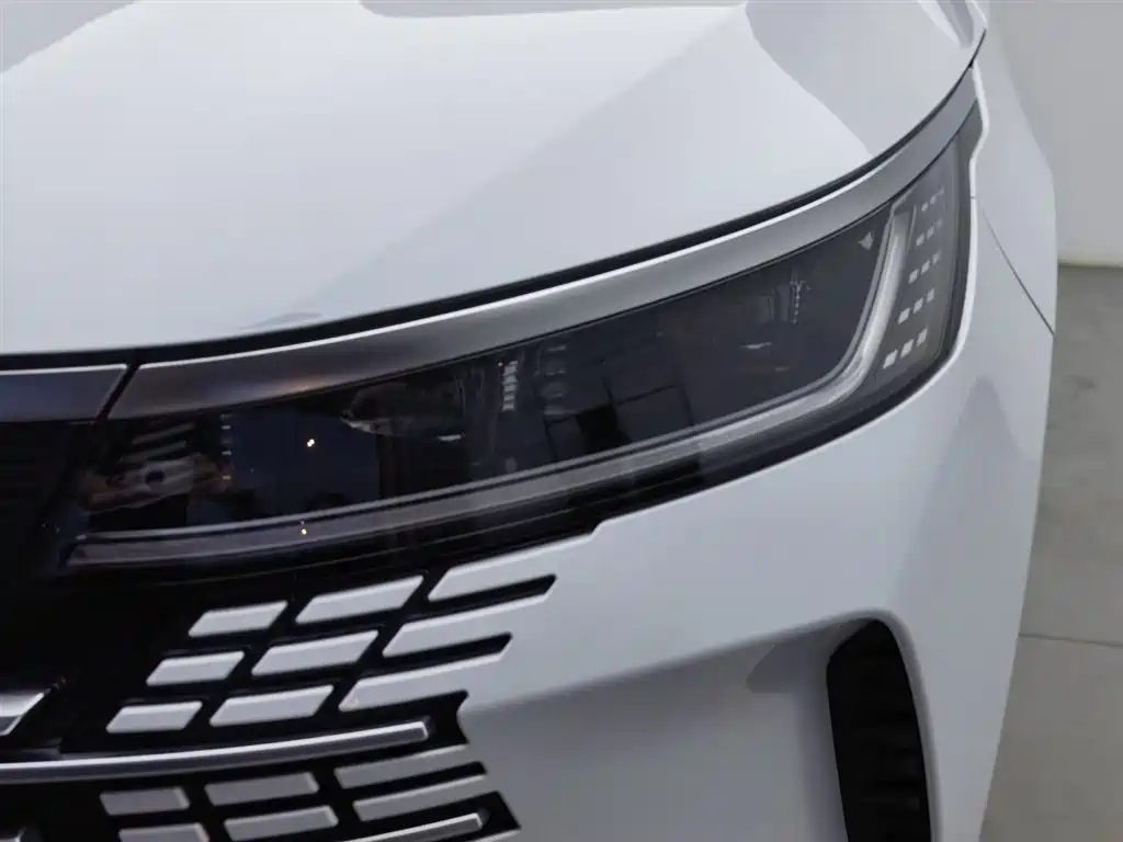 BYD Destroyer 05 2024 Glory Edition DM-i 55KM Luxury фото 7