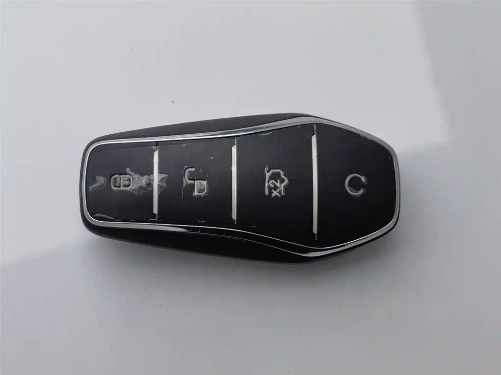 BYD Destroyer 05 2024 Glory Edition DM-i 55KM Luxury фото 19