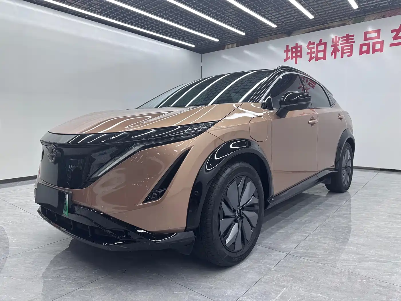 Nissan ARIYA 2022 2022 2WD Long Range Top Edition