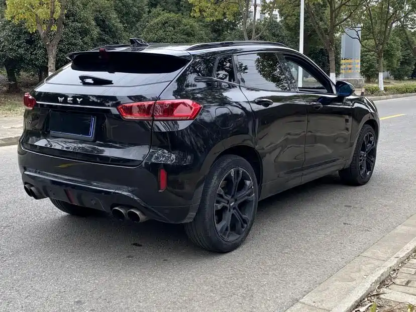 WEI PAI WEI BRAND VV7