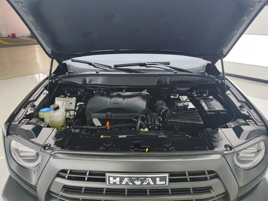 Haval Big Dog 2024 2.0T DCT Chinese Rural Dog Edition фото 10