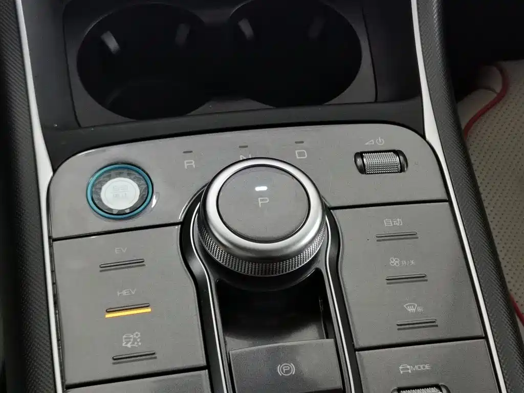 BYD Destroyer 05 2023 Champion Edition DM-i 55KM Premium фото 13