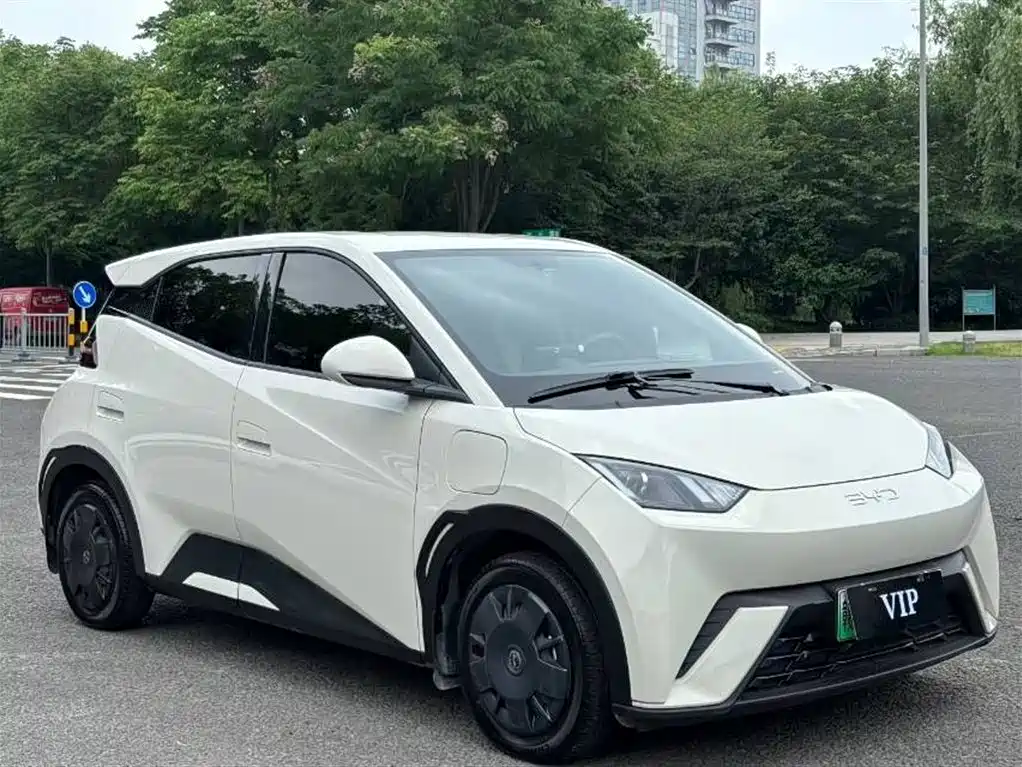 BYD Seagull 2024 Glory Edition 305km Freedom Edition фото 3