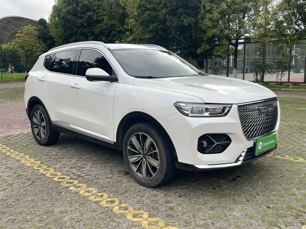 Haval H6 2021 1.5GDIT Automatic Champion Edition фото 22