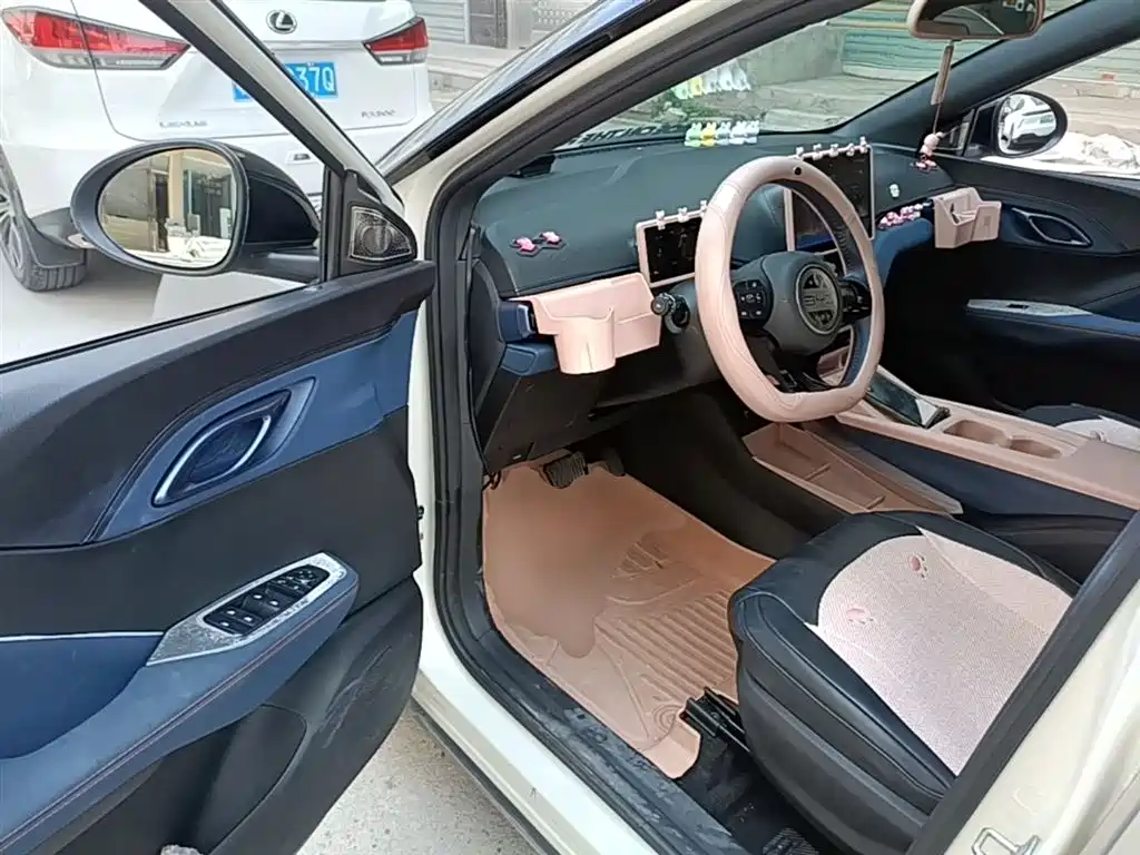BYD Seagull 2023 Freedom Edition фото 16