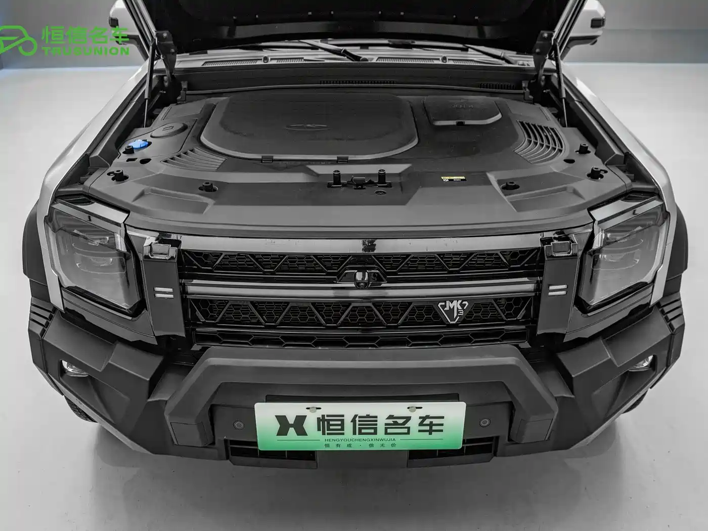 Jetour Shanhai T2 2024 2024 C-DM 208KM Wilderness Edition