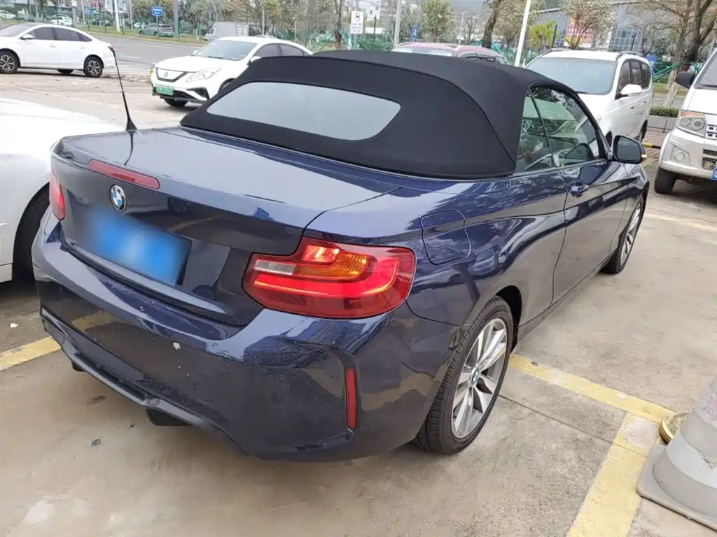 BMW 2 Series (Import) 2017 220i Convertible Coupe Leading фото 5