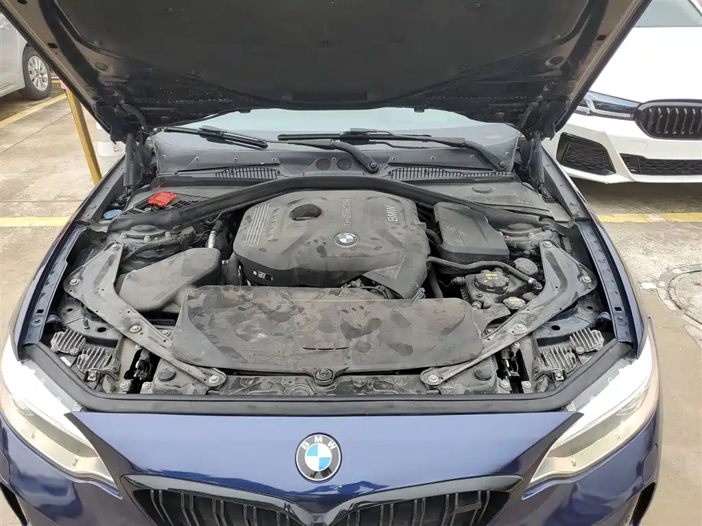 BMW 2 Series (Import) 2017 220i Convertible Coupe Leading фото 16