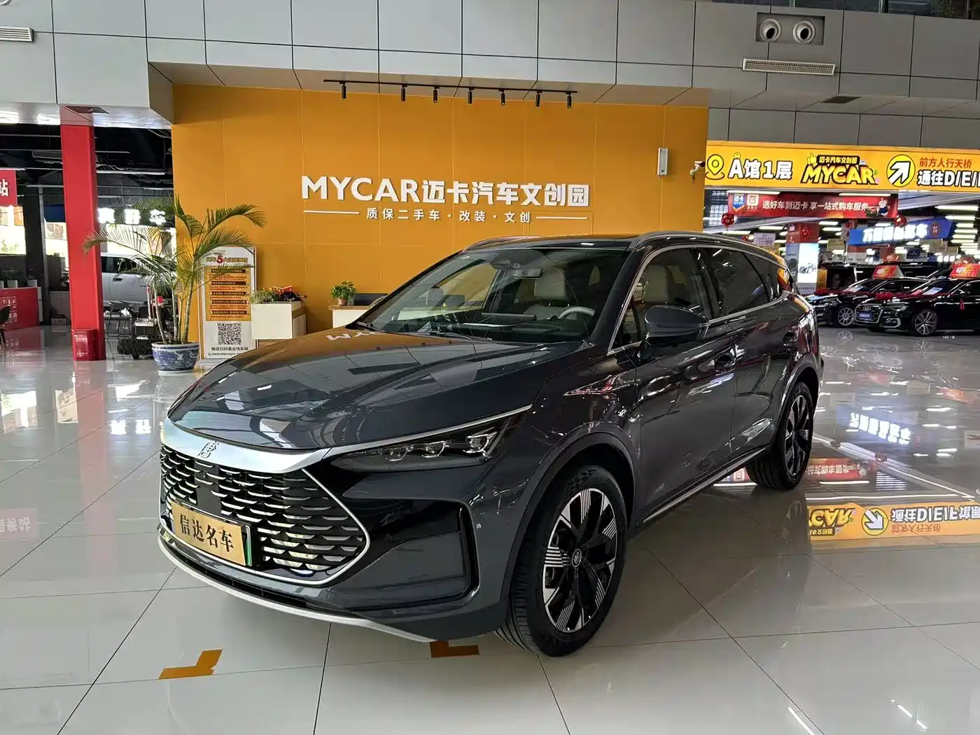 BYD Tang New Energy 2024 Model DM-i Glory Edition 112KM Flagship Type
