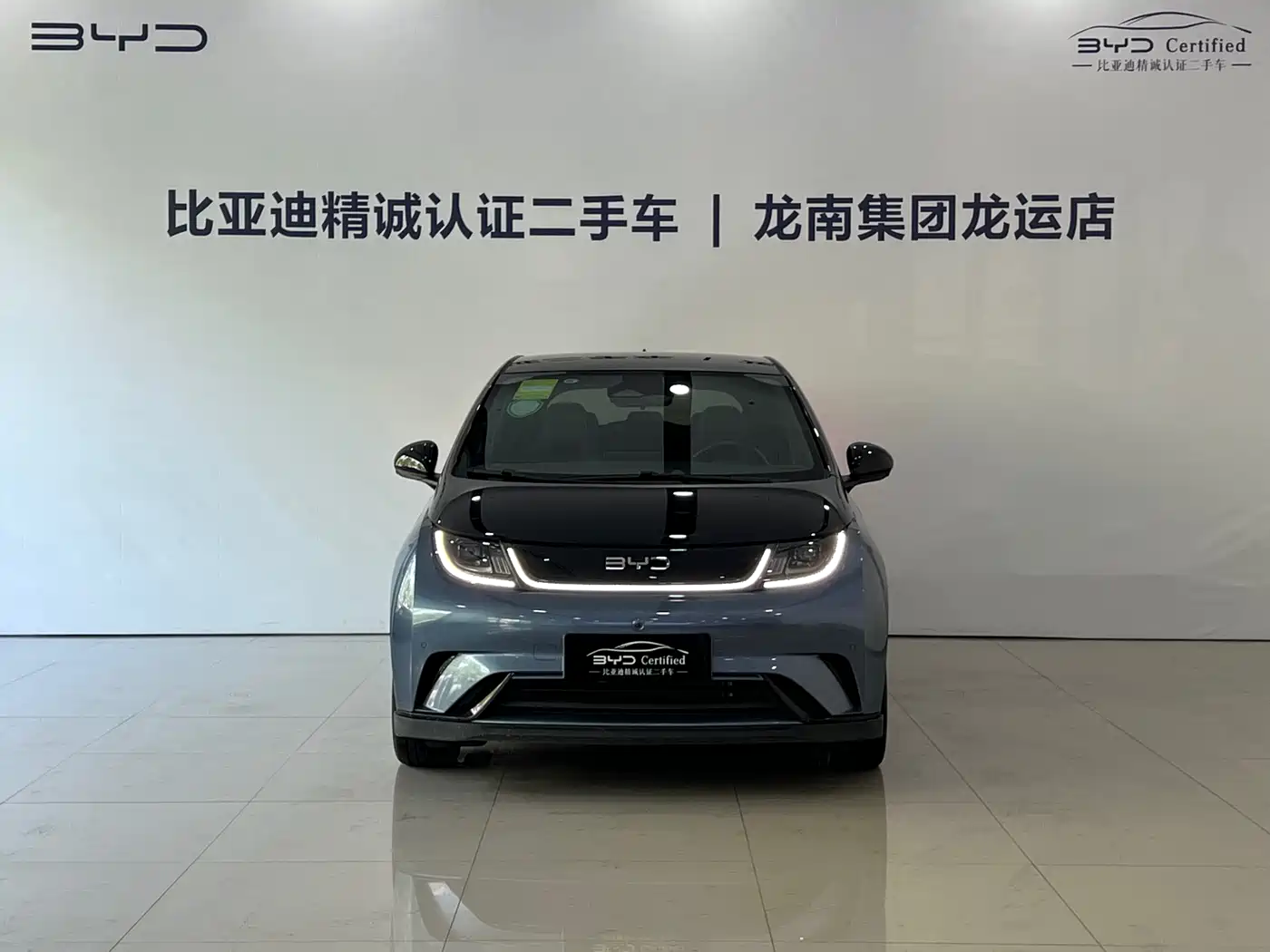 BYD Dolphin 2024 Glory Edition 401km Knight Edition фото 2