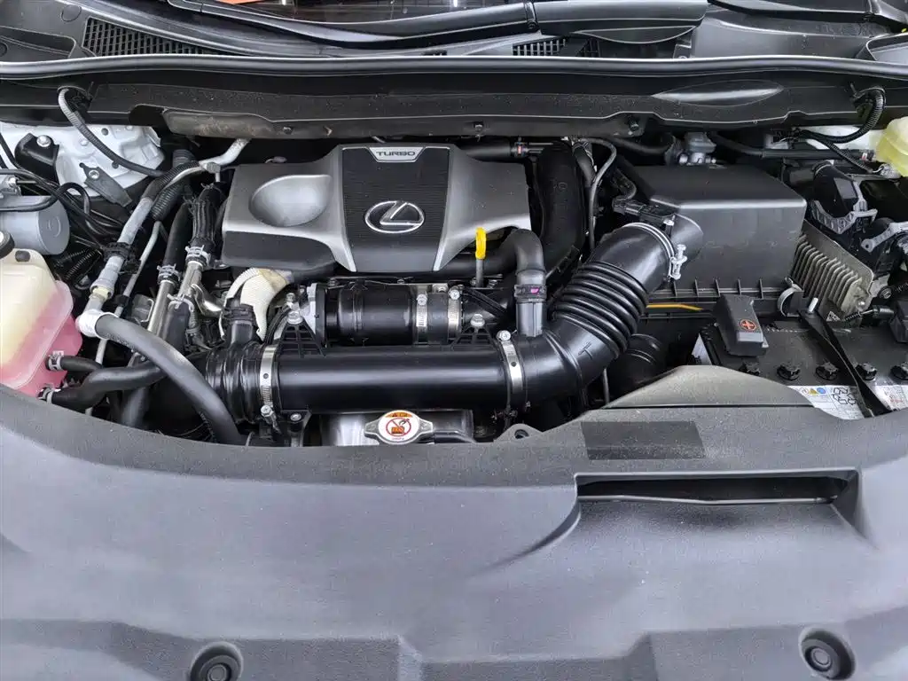 Lexus RX 2016 300 2WD Elite Edition China VI фото 13
