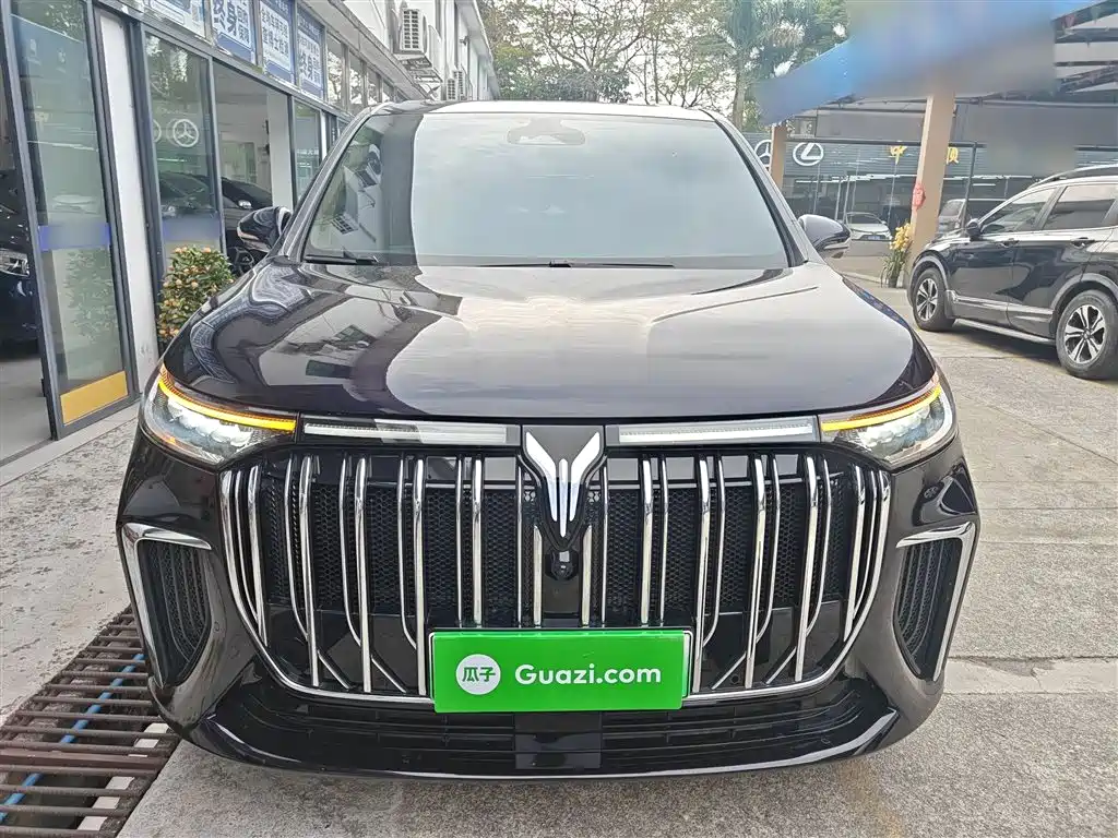 Voyah Auto Voyah Dreamer 2022 Low-carbon Dream+Smart Package фото 3