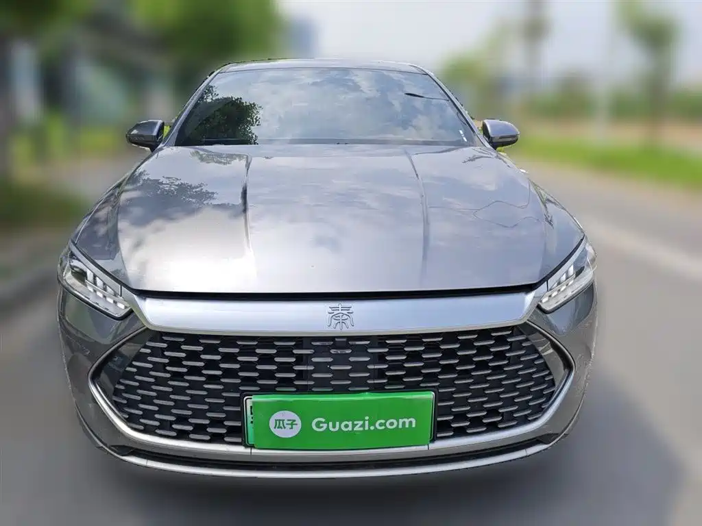 BYD Qin PLUS 2024 Glory Edition DM-i 55KM Leading фото 3