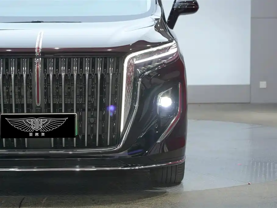 Hongqi HQ9 PHEV 2024 Model 2.0T AWD Business Edition фото 4