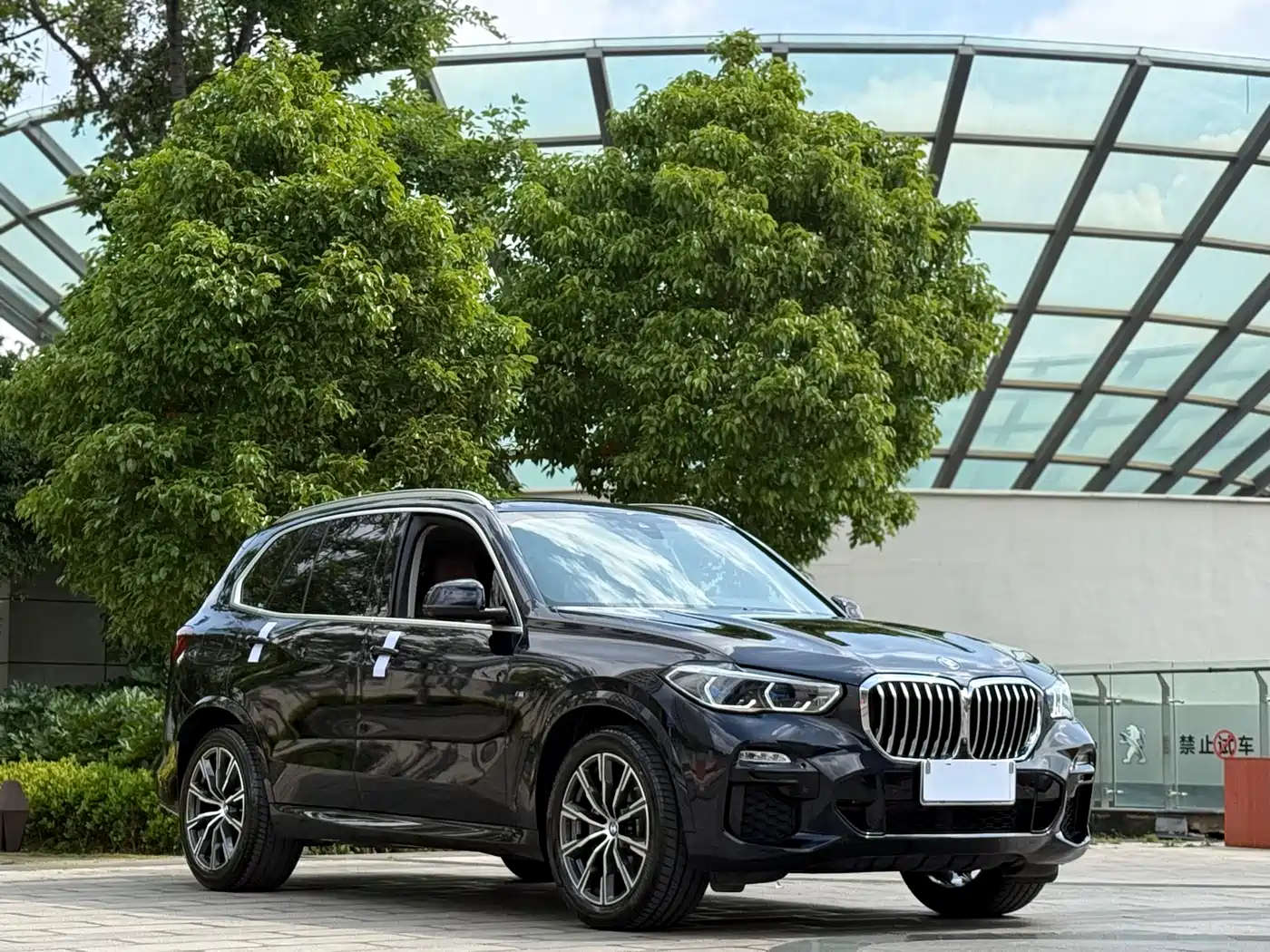BMW X5 (Import) 2020 xDrive40i M Sport Package фото 3