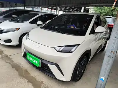 BYD Seagull