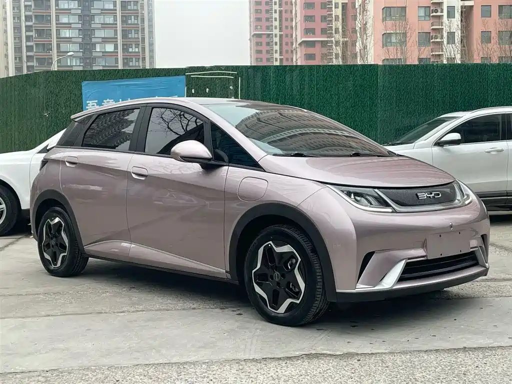 BYD Dolphin 2021 Model 405km Fashion Edition фото 13