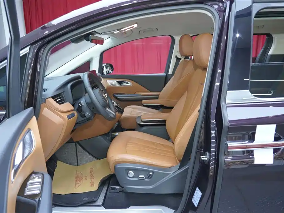 Hongqi HQ9 PHEV 2024 Model 2.0T AWD Business Edition фото 17