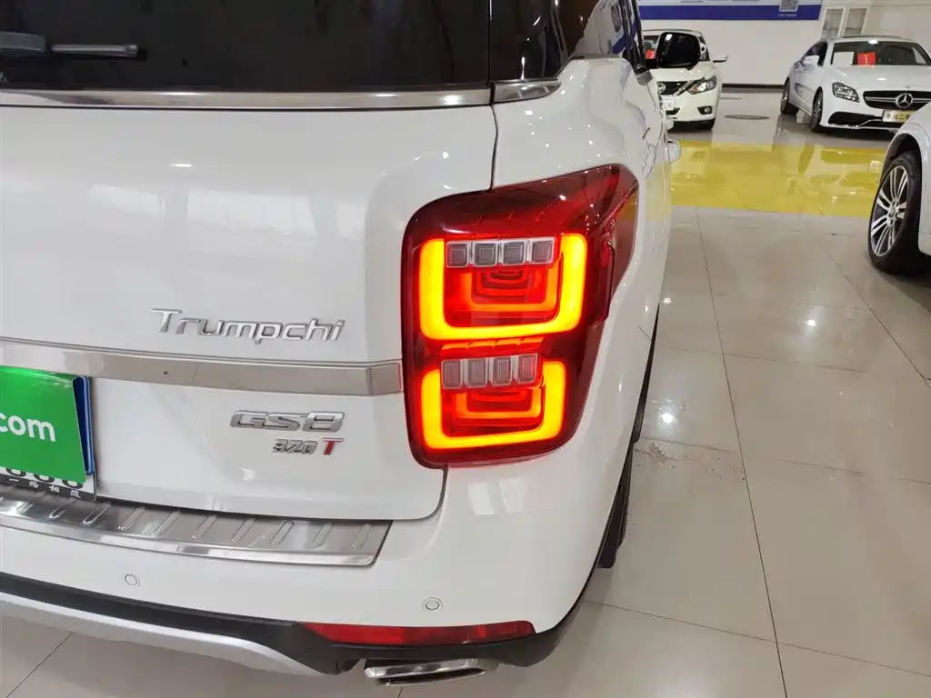 GAC Trumpchi Trumpchi GS8 2017 320T 2WD Luxury Smart Connect (7-seater) фото 8