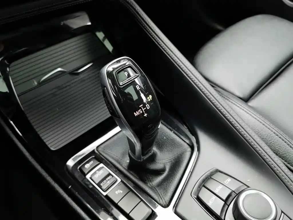BMW X2 (Import) 2019 sDrive20i M Off-Road Package China VI фото 13