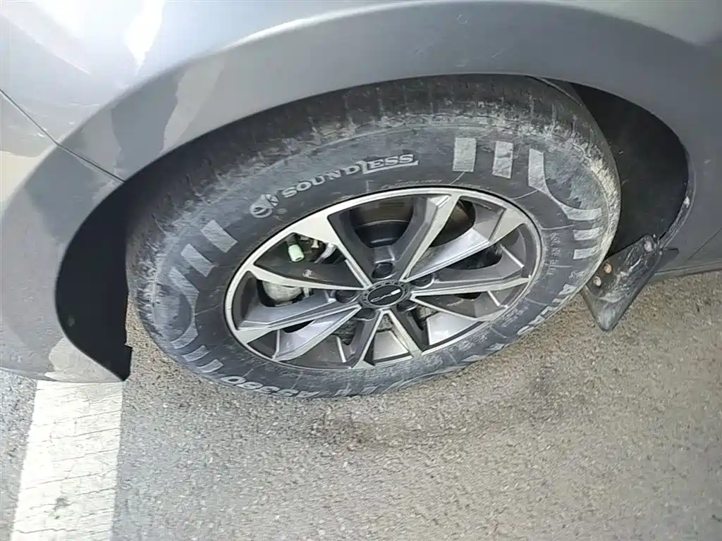 BYD Destroyer 05 2024 Glory Edition DM-i 55KM Luxury фото 23