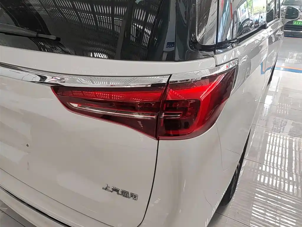 Buick GL8 2021 ES Landlord 653T Premium фото 8