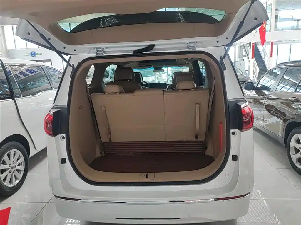 Buick GL8 2021 ES Landlord 653T Premium фото 19