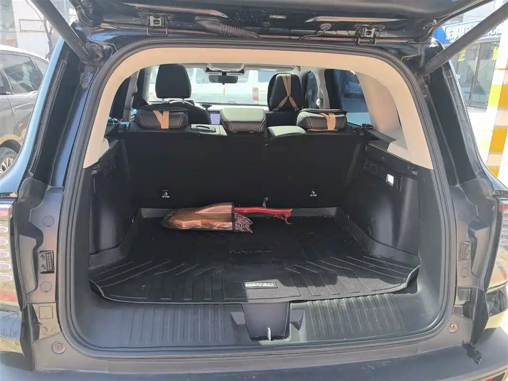 Haval Big Dog 2024 1.5T DCT Border Collie Edition фото 19