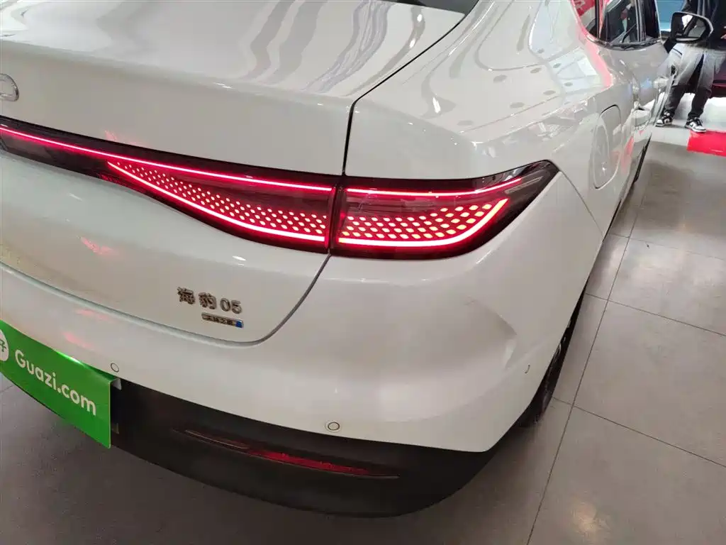 BYD Hai Bao 05 DM-i 2025 DM-i Smart Driving Edition 120KM Flagship фото 24