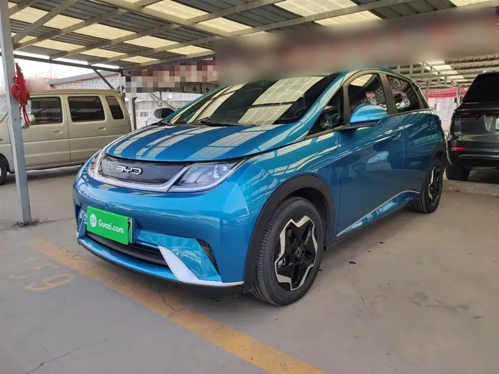 BYD Dolphin 2021 Model 405km Fashion Edition