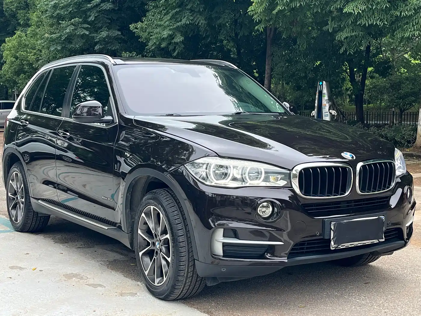 BMW X5 (Import) 2017 xDrive35i Leading Edition фото 3