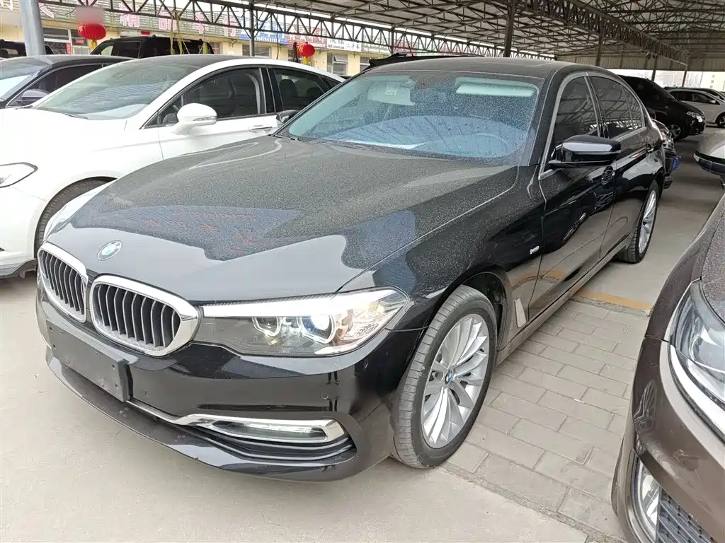 BMW 5 Series 2018 530Li xDrive Luxury Package фото 2