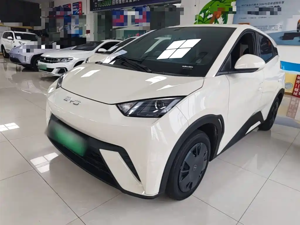 BYD Seagull 2024 Glory Edition 305km Vitality Edition