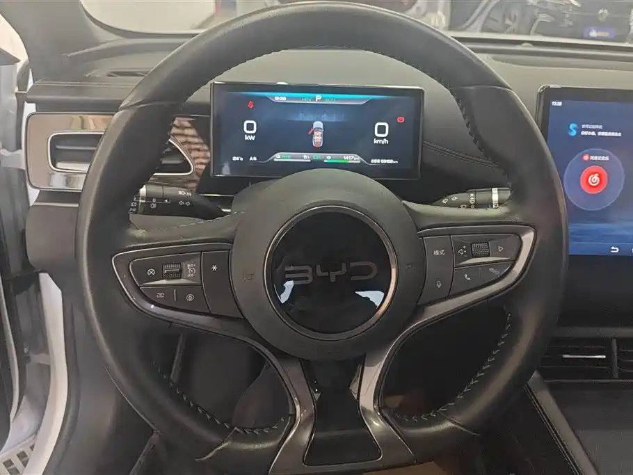 BYD Seal 06 New Energy 2024 DM-i 80KM Prestige фото 15