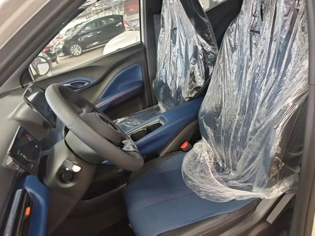 BYD Seagull 2026 2025 Smart Drive Edition 305km Vitality Version