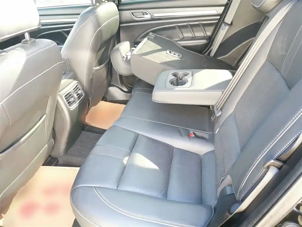 GAC Trumpchi Trumpchi GS8 2020 GS8S 390T 2WD Luxury Smart Connect Edition фото 13