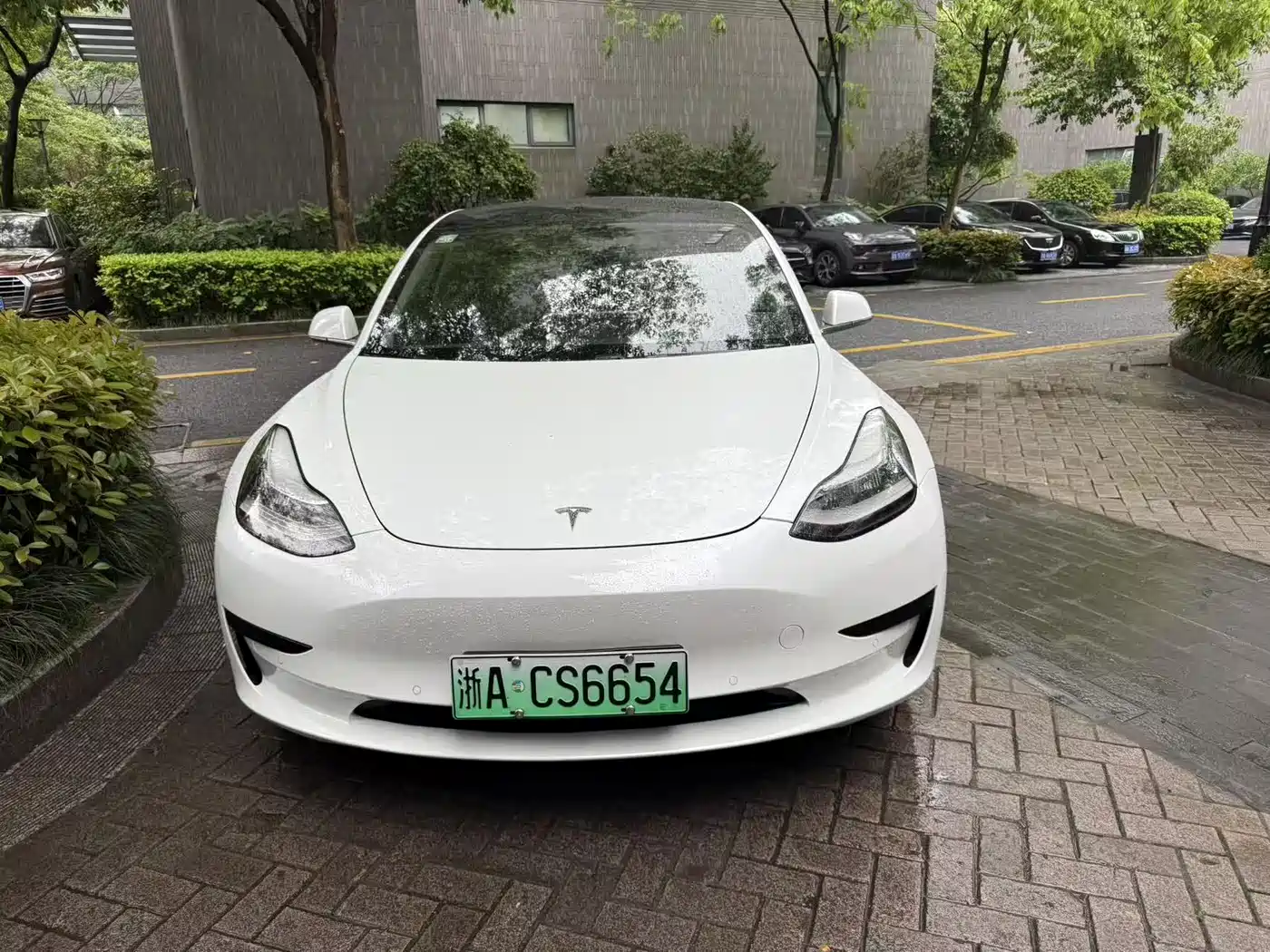 TESLA MODEL 3 (IMPORTED)