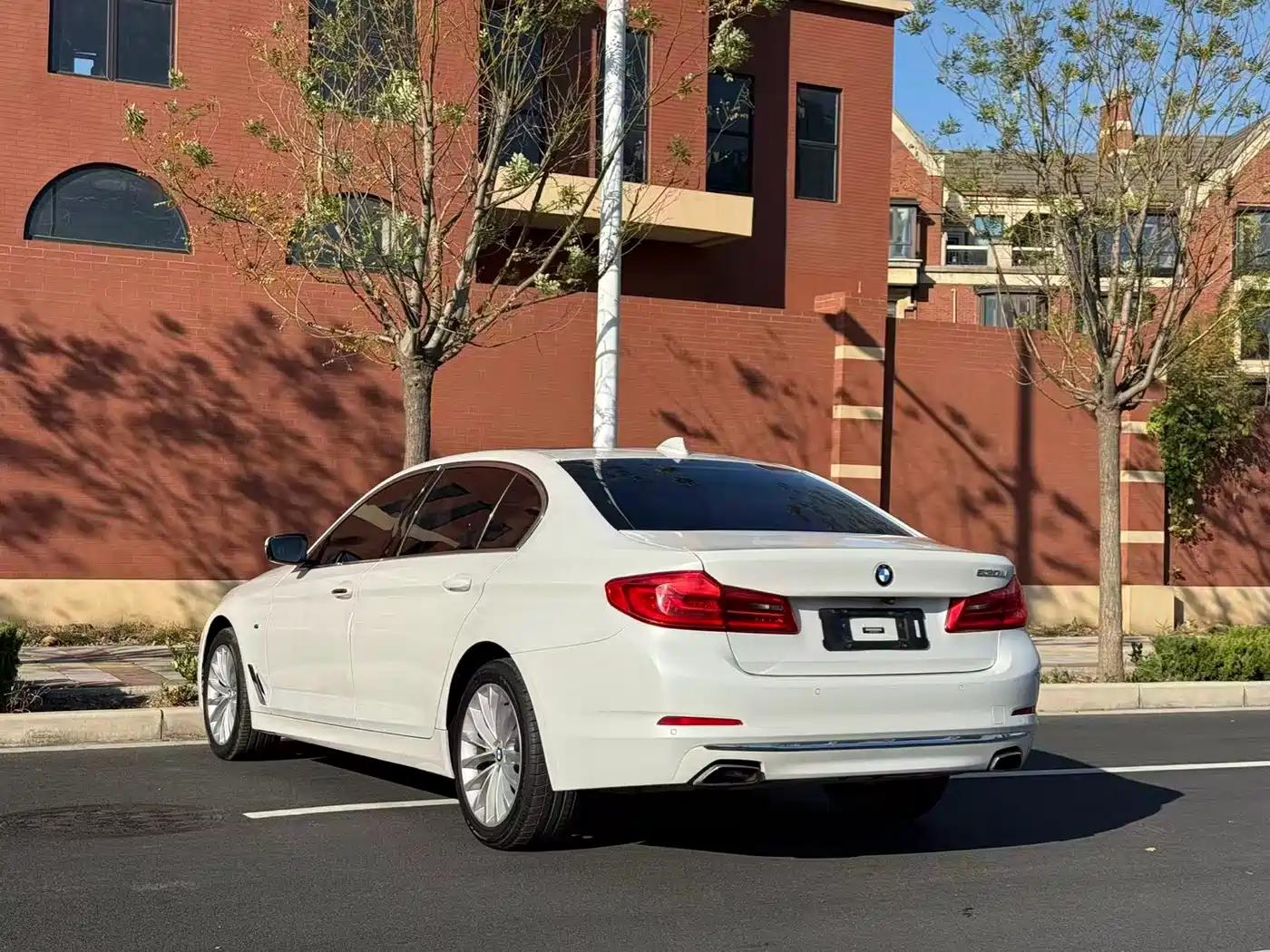 BMW 5 Series 2019 530Li Leading Luxury Package фото 9