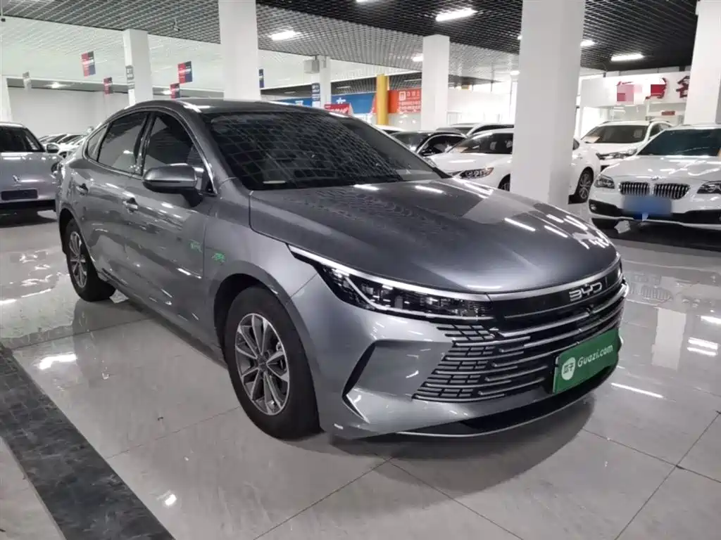 BYD Destroyer 05 2024 Glory Edition DM-i 55KM Luxury фото 4