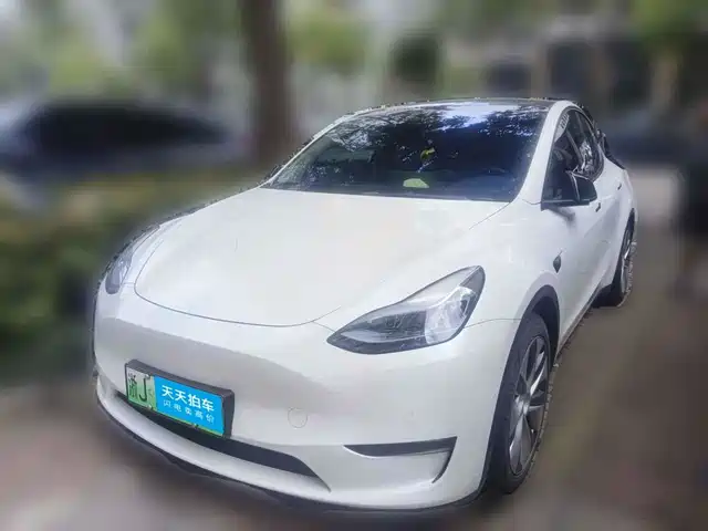 Tesla Model Y 2021 Performance High-Performance AWD — фото 1