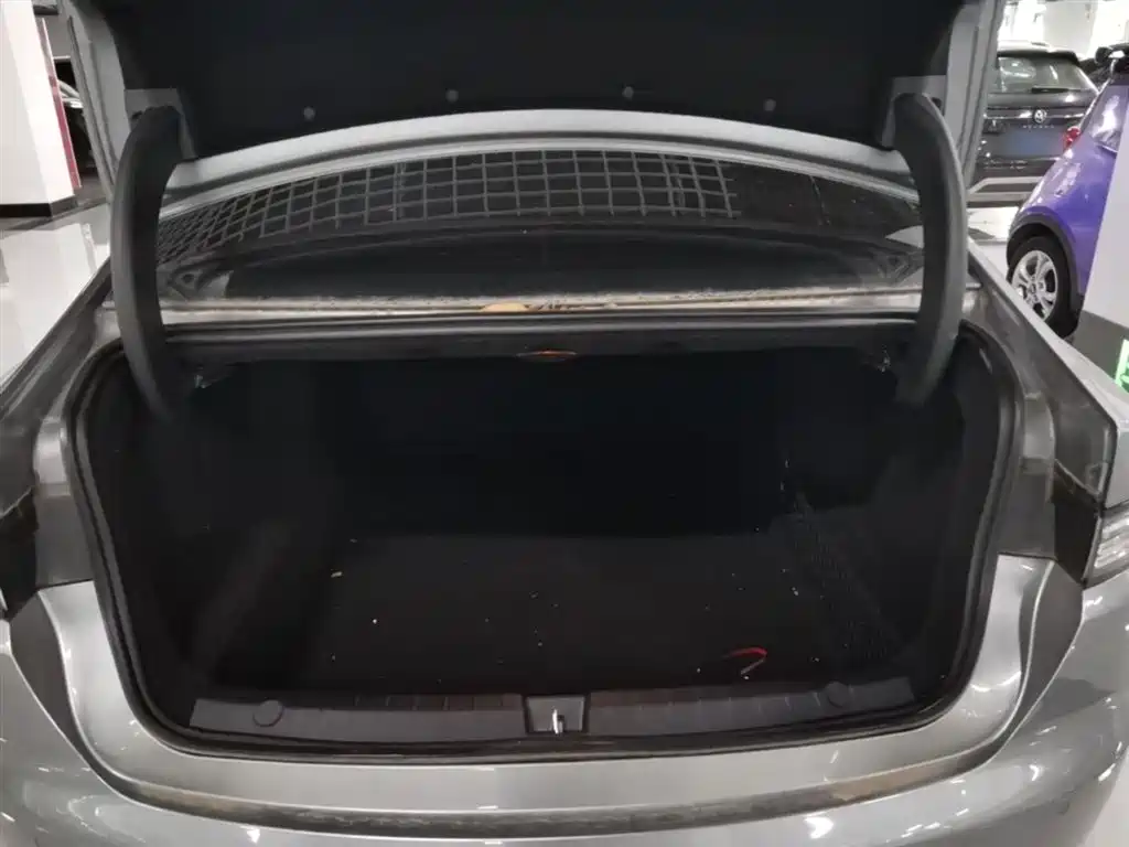 BYD Destroyer 05 2024 Glory Edition DM-i 55KM Luxury фото 19