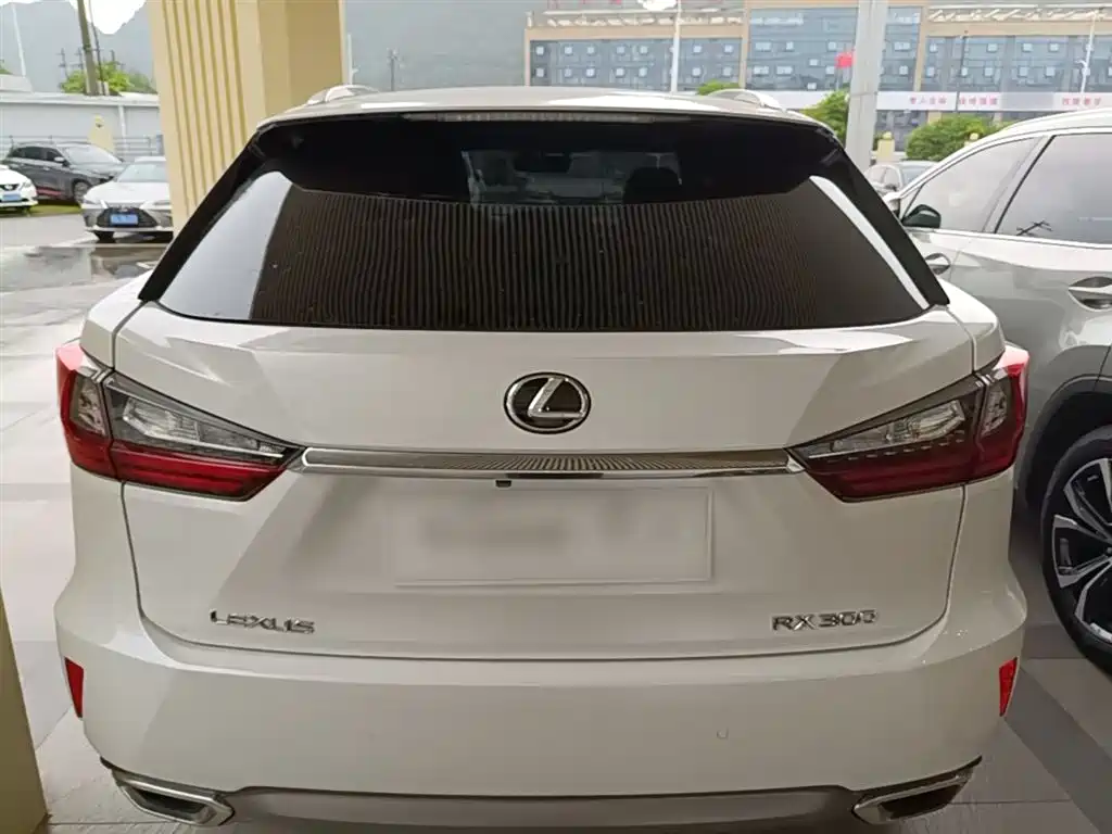 Lexus RX 2016 300 4WD Elegance Edition (China V) фото 6