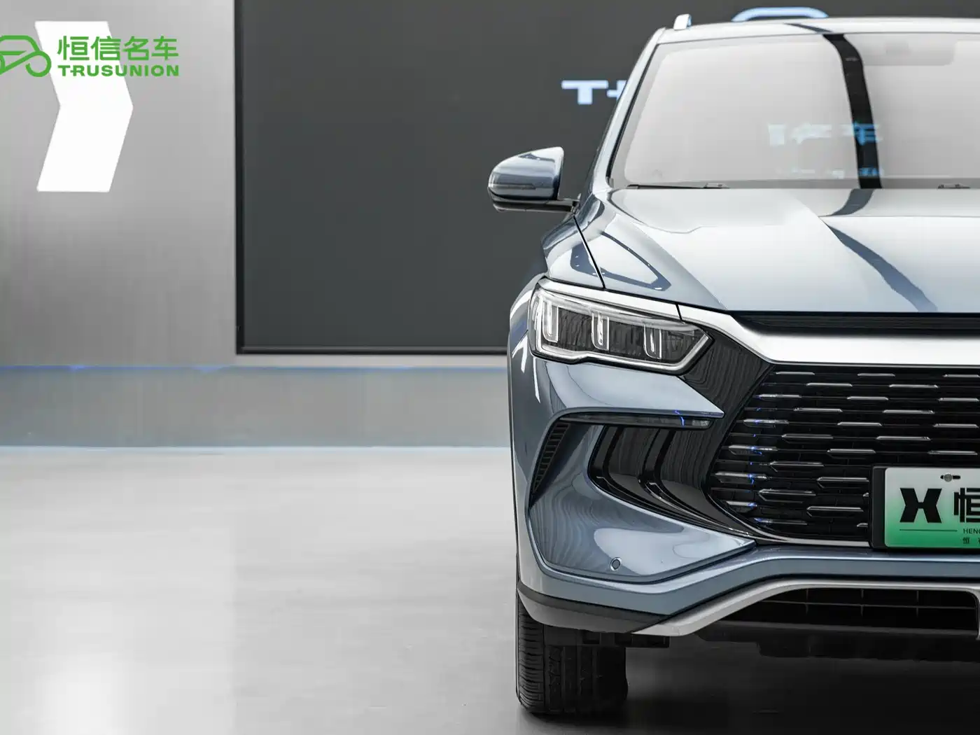 BYD Song Pro New Energy 2024 Glory Edition DM-i 71KM Pilot фото 8