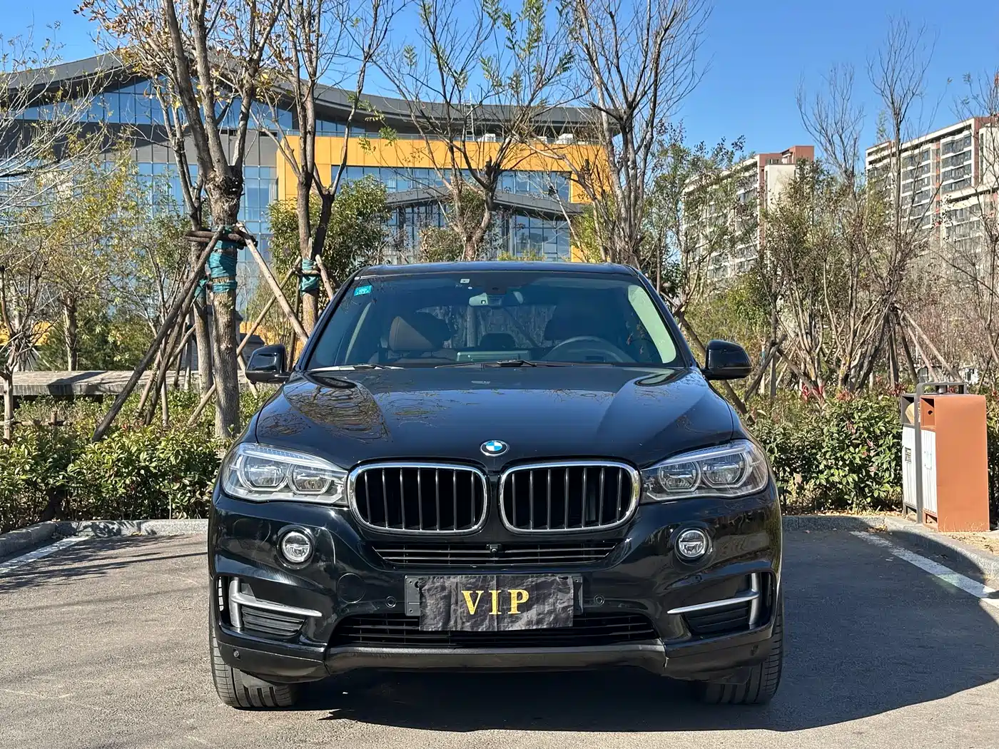 BMW X5 (Import) 2017 xDrive35i Elegance фото 2