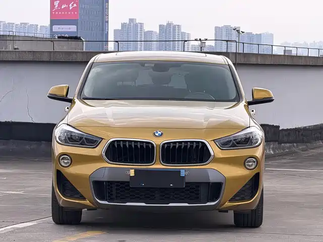  BMW BMW X2 (Import) 2019 sDrive20i M Off-Road Package China VI