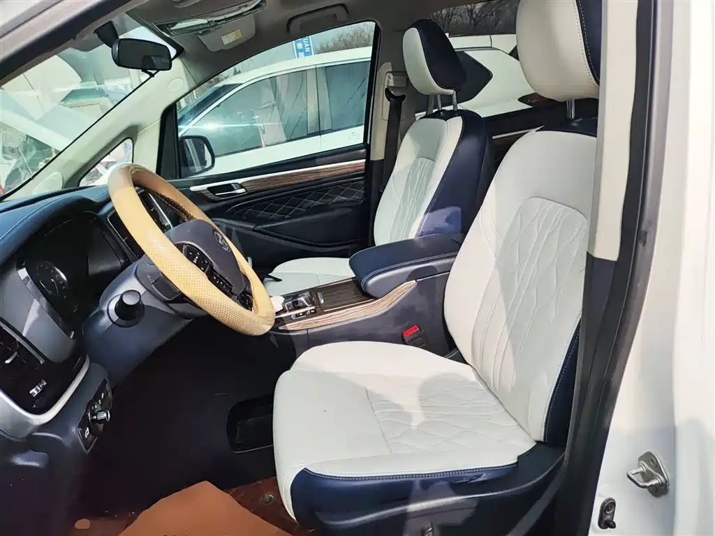 GAC Trumpchi Trumpchi M8 2020 Pilot 390T Premium Edition фото 14